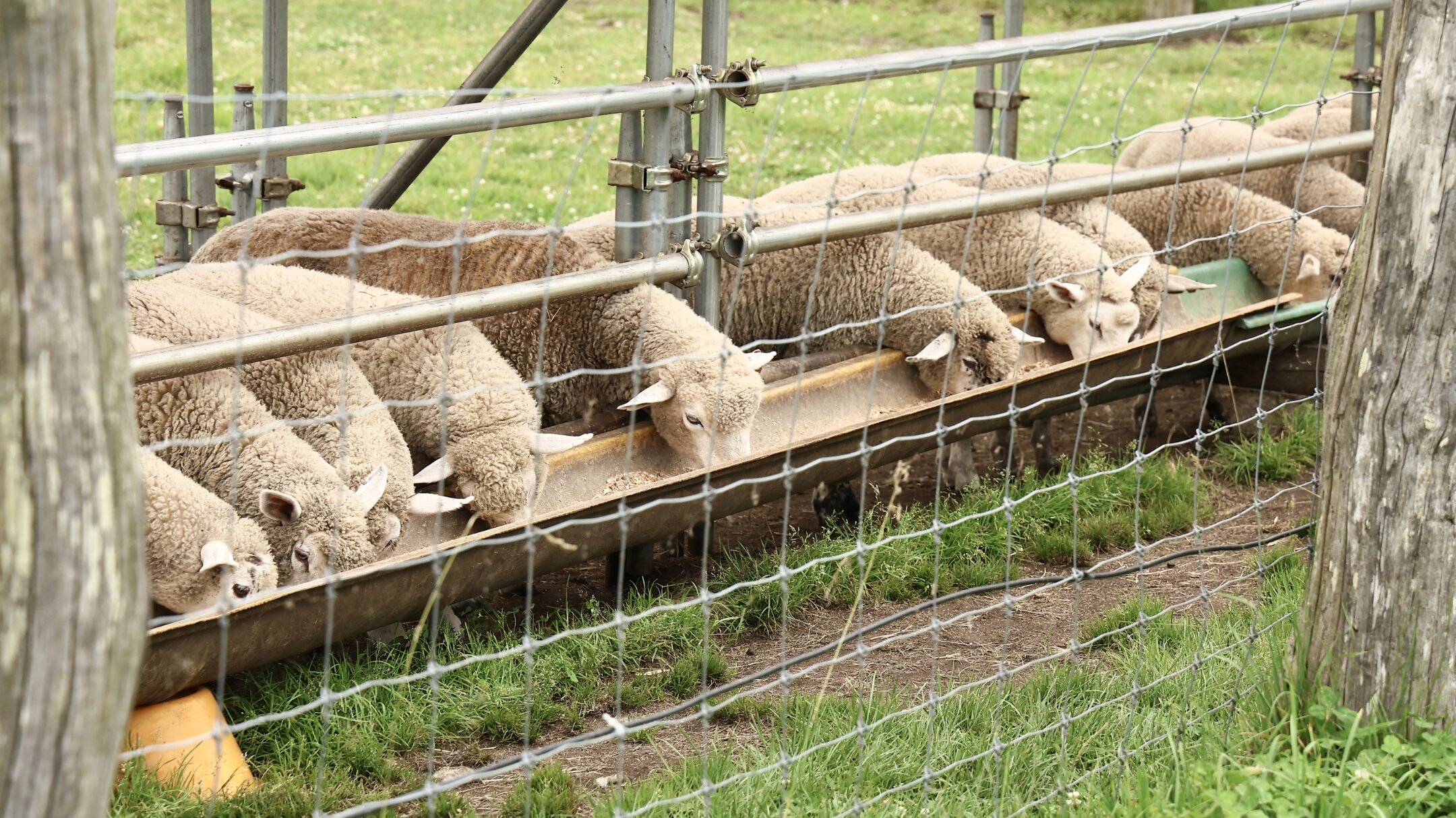 親子で楽しむ　いわて体験旅