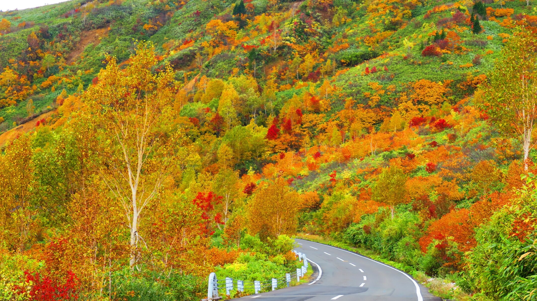 秋深まる八幡平で紅葉と秘湯を満喫