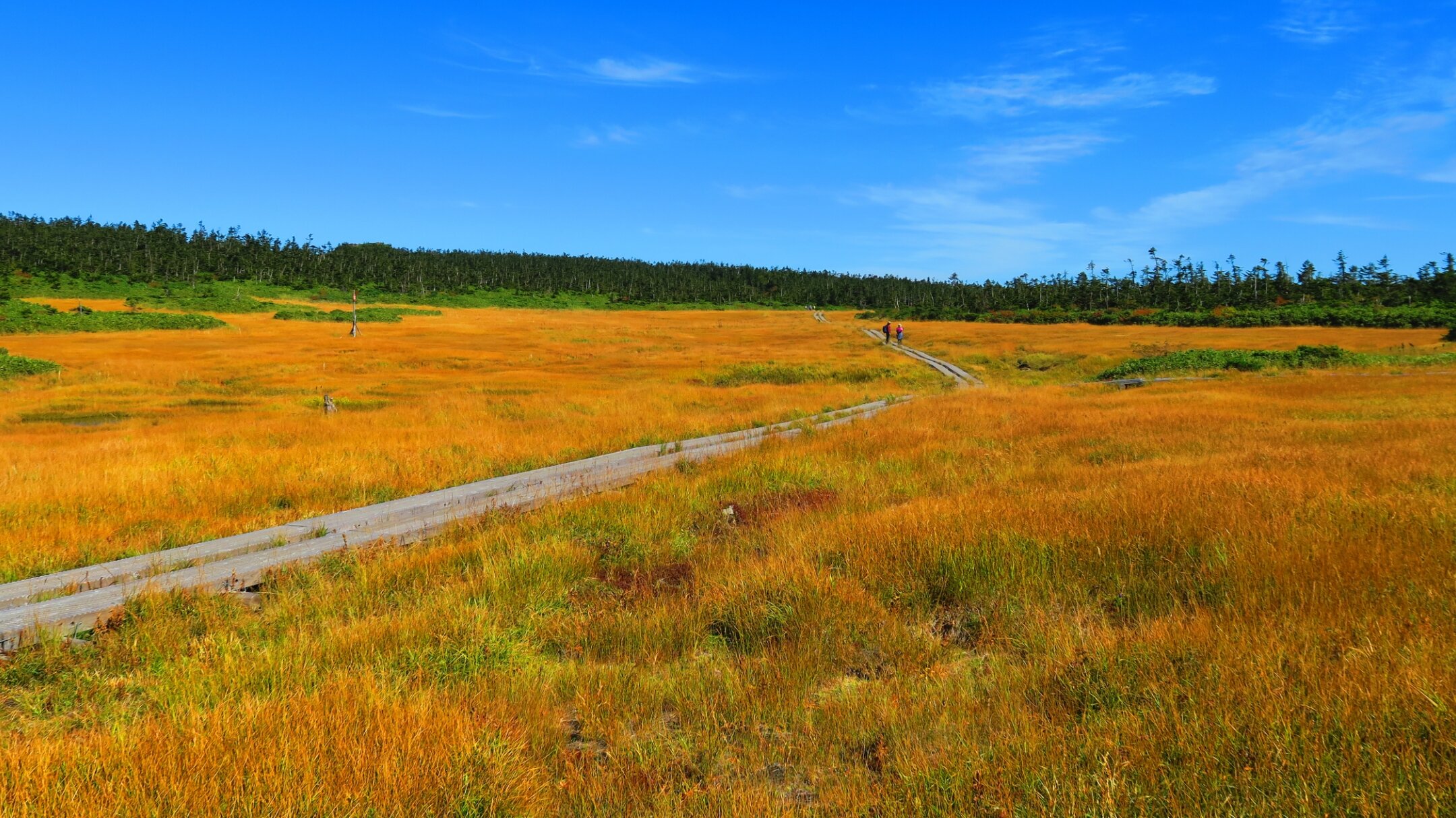 秋深まる八幡平で紅葉と秘湯を満喫